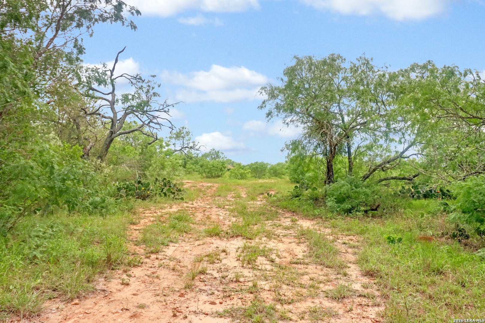 Tbd Cross Road Seguin, TX 78155 - Photo 20 of 23