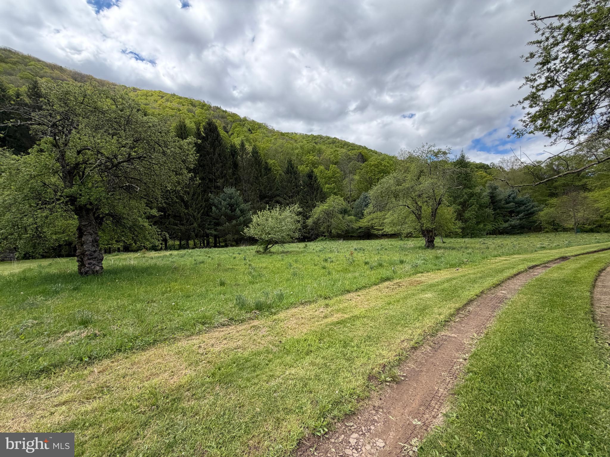 1227 Cross Fork Creek Road Cross Fork, PA 17729 - Photo 96 of 139