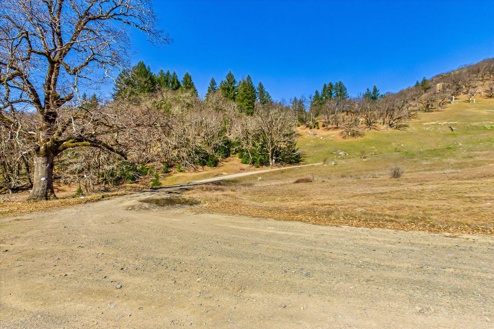 40-acres Ridge Road Mad River, CA 95552 - Photo 35 of 46