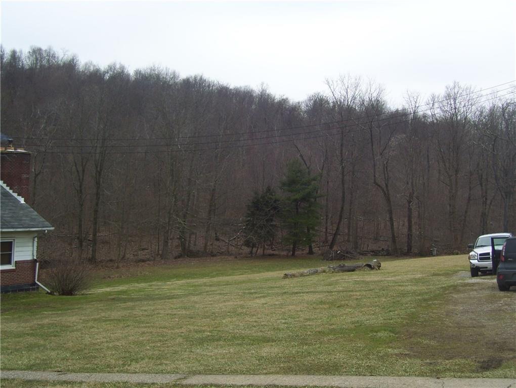 299 Cottom Road Dawson, PA 15428 - Photo 6 of 19