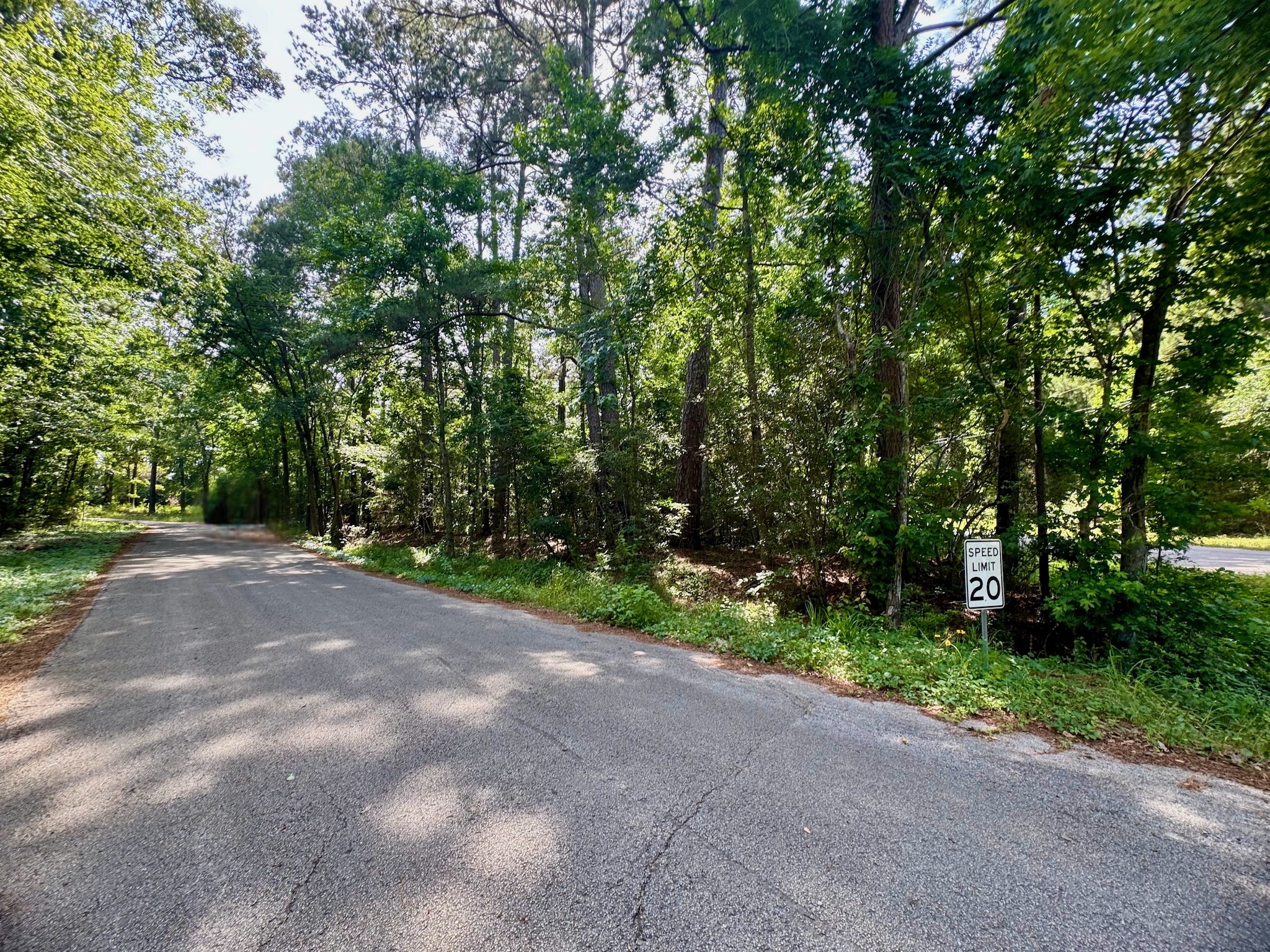 Tbd Crockett Road Willis, TX 77378 - Photo 11 of 13 a view of a street with a yard and trees
