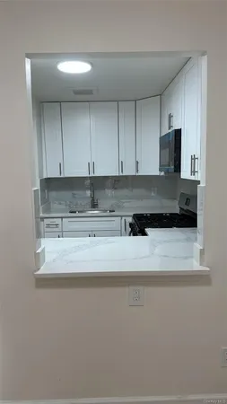 a close view of sink and microwave