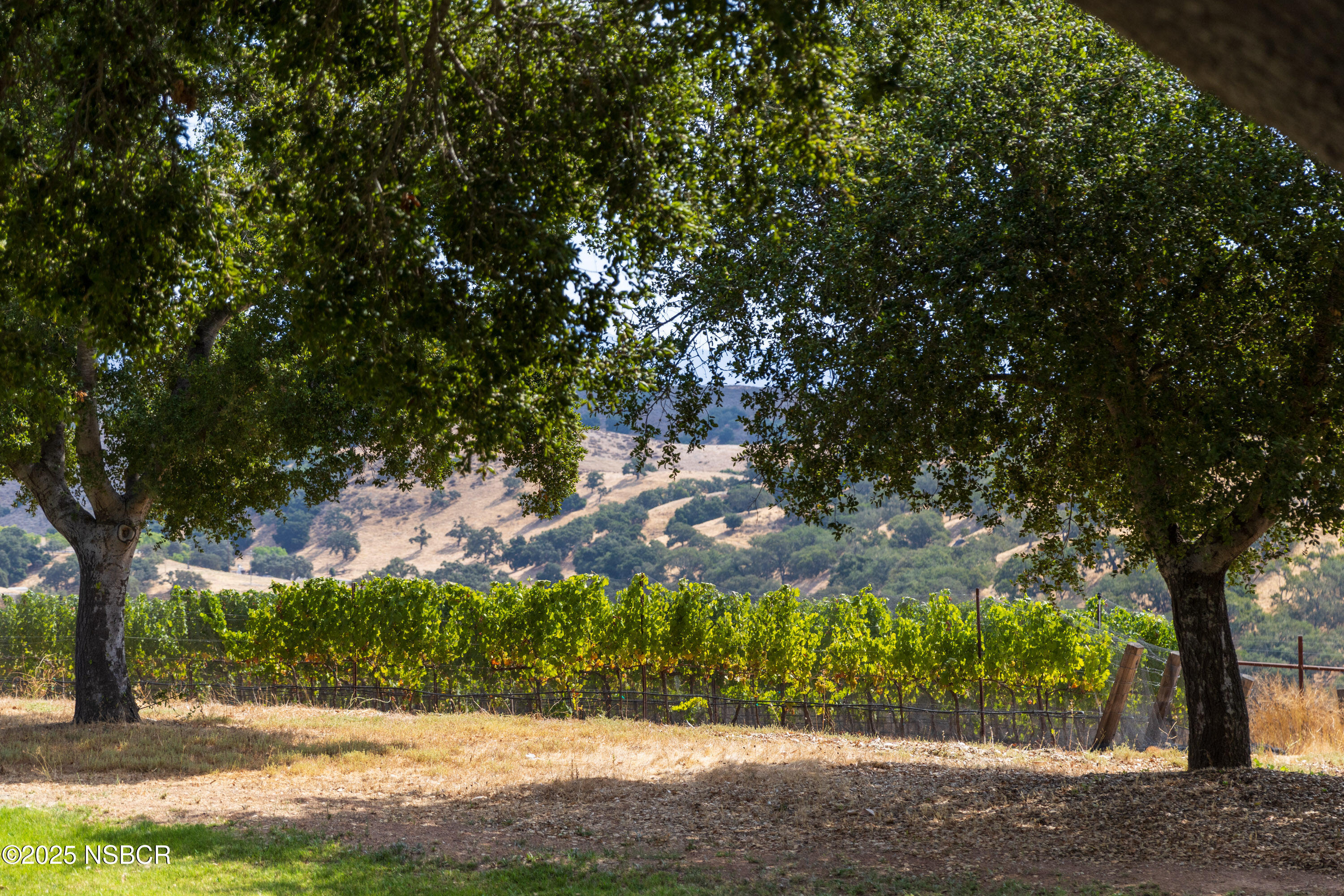 3001 Long Valley Road Santa Ynez, CA 93460 - Photo 49 of 52 a view of a yard with a tree