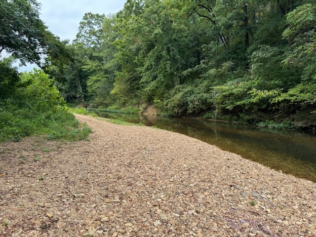 0 Fortyeight Creek Road Waynesboro, TN 38485 - Photo 3 of 10 a view of lake