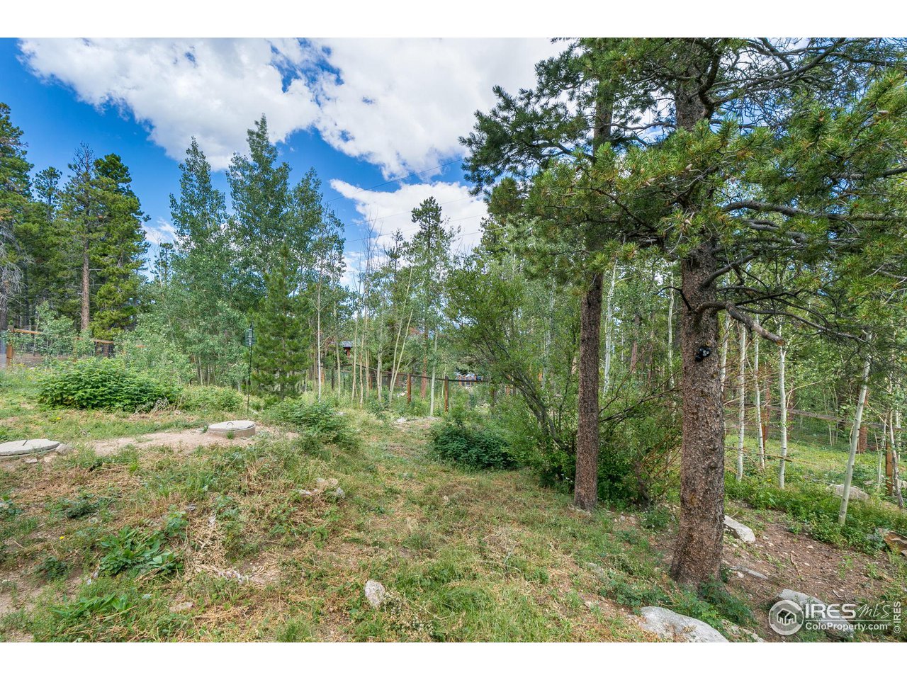 95 Ronnie Road Golden, CO 80403 - Photo 37 of 40 Usable land with Aspens, sun & rock features