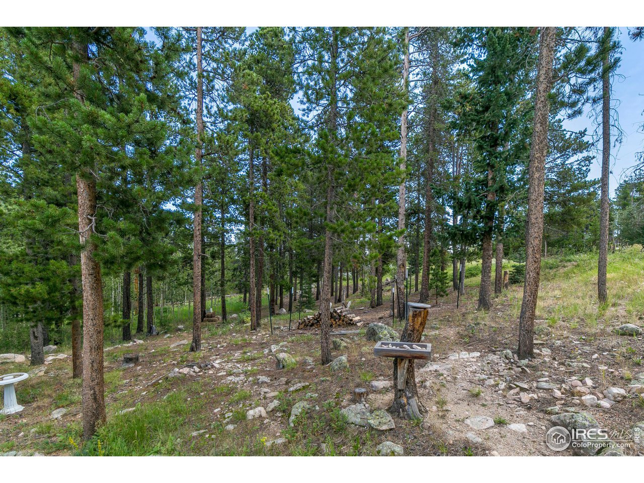 95 Ronnie Road Golden, CO 80403 - Photo 38 of 40 Fire pit area