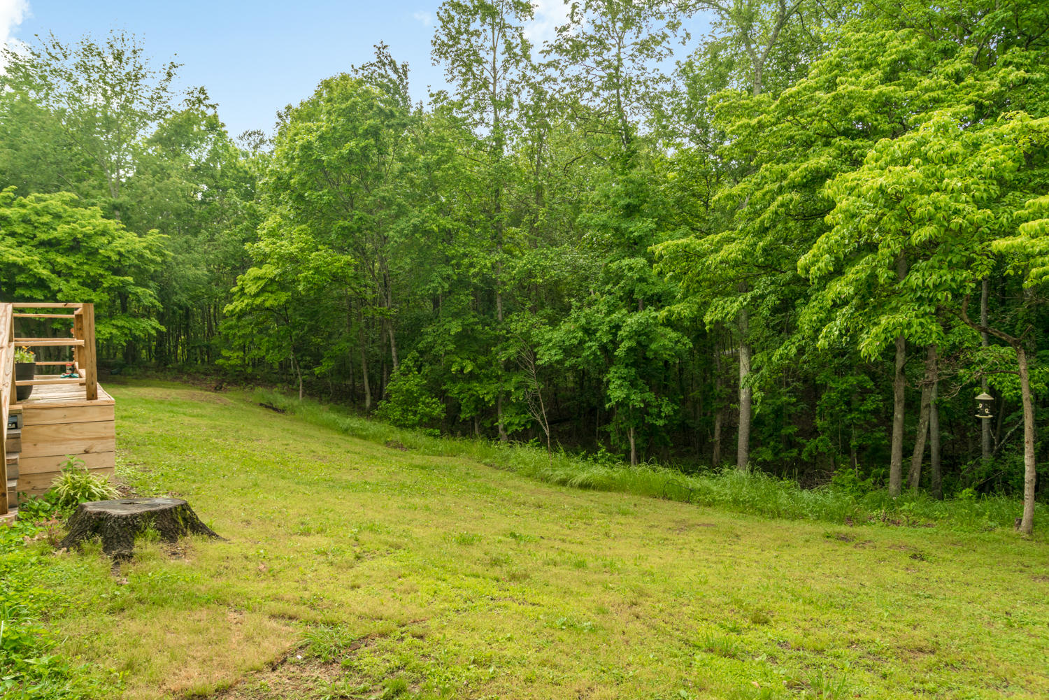 6437 Cooley Road Harrison, TN 37341 - Photo 26 of 26 Back Yard