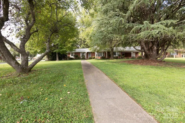 a view of a yard with plants and trees