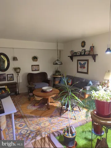a living room with furniture a rug and a potted plant