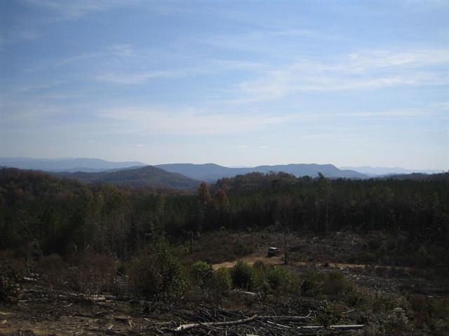 0 Citico Road Vonore, TN 37885 - Photo 8 of 16