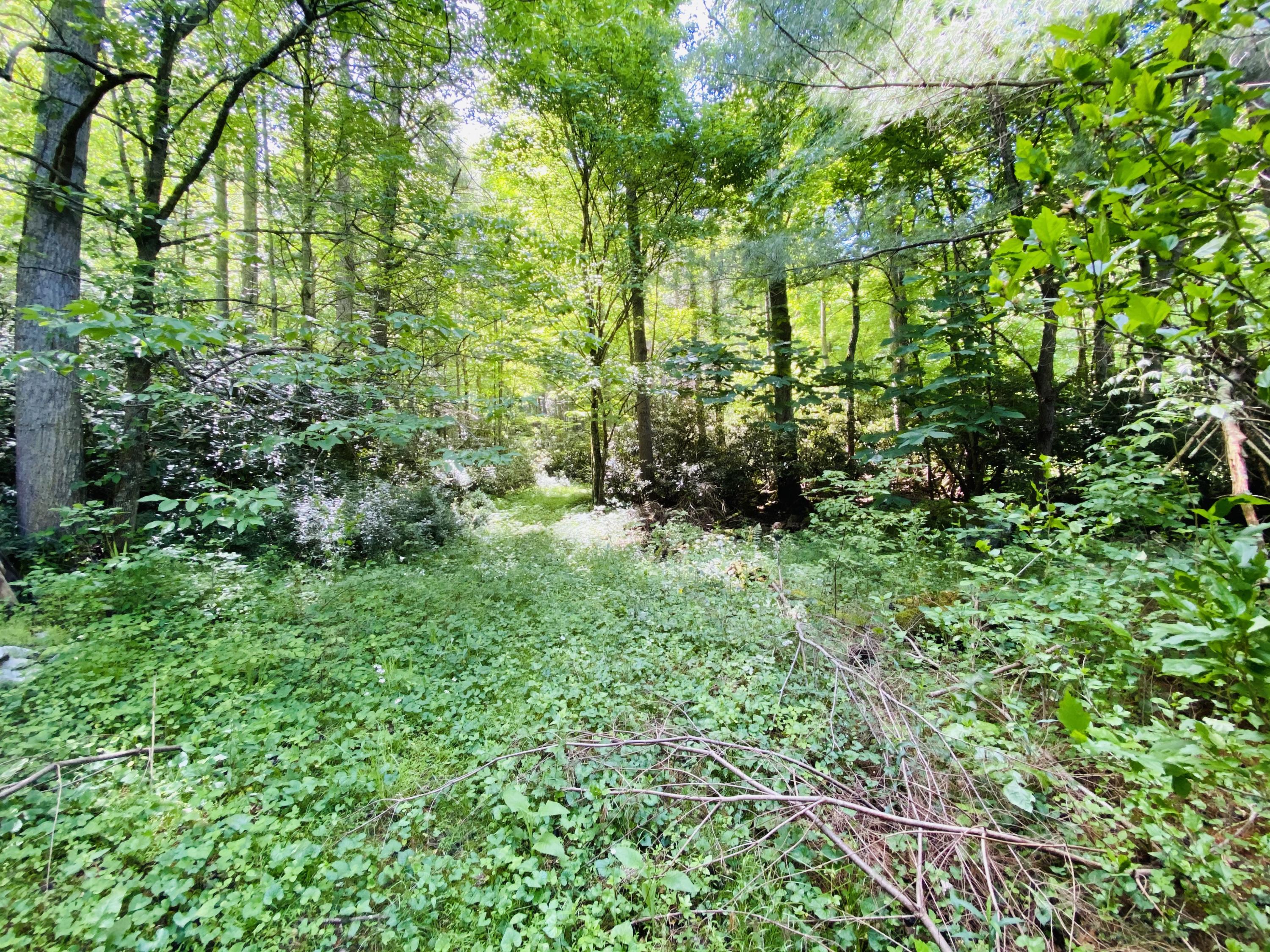 1240 Poga Road Butler, TN 37640 - Photo 29 of 29 20DC4515-589D-4931-84C7-7CD609120943