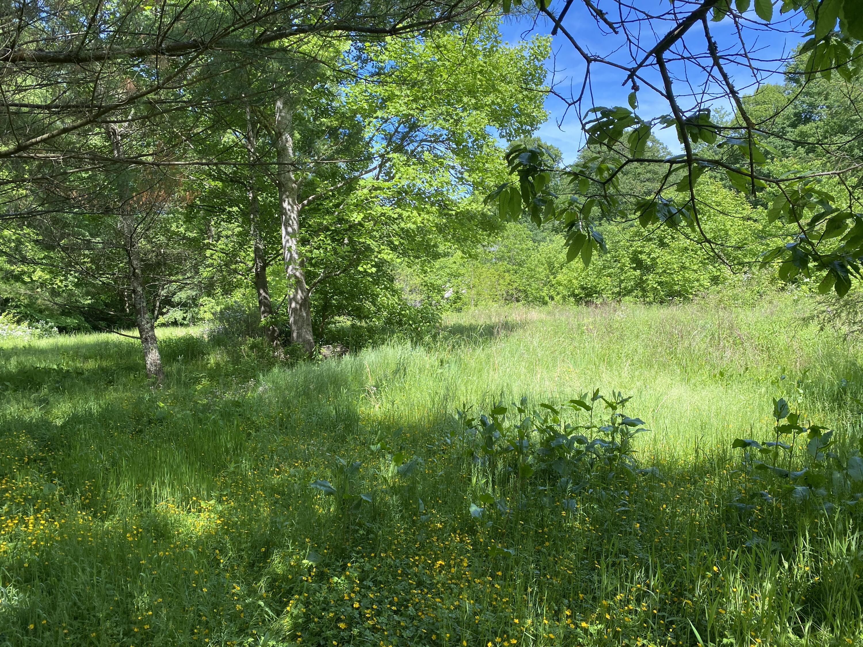 1240 Poga Road Butler, TN 37640 - Photo 3 of 29 9C69A445-CB5E-4504-BAED-B24E149879D0