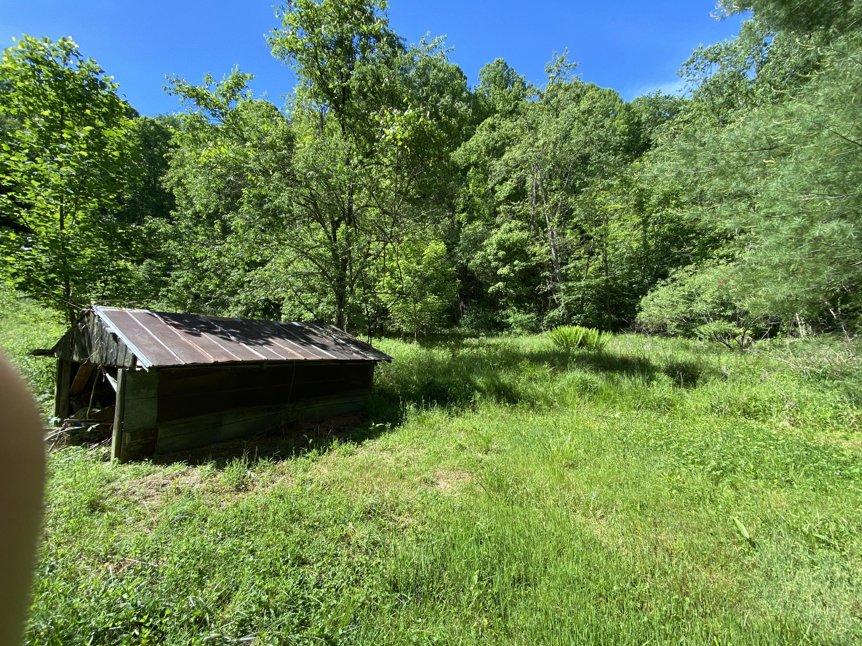 1240 Poga Road Butler, TN 37640 - Photo 6 of 29 98505FF0-7724-465C-98D7-CBC7293BB220