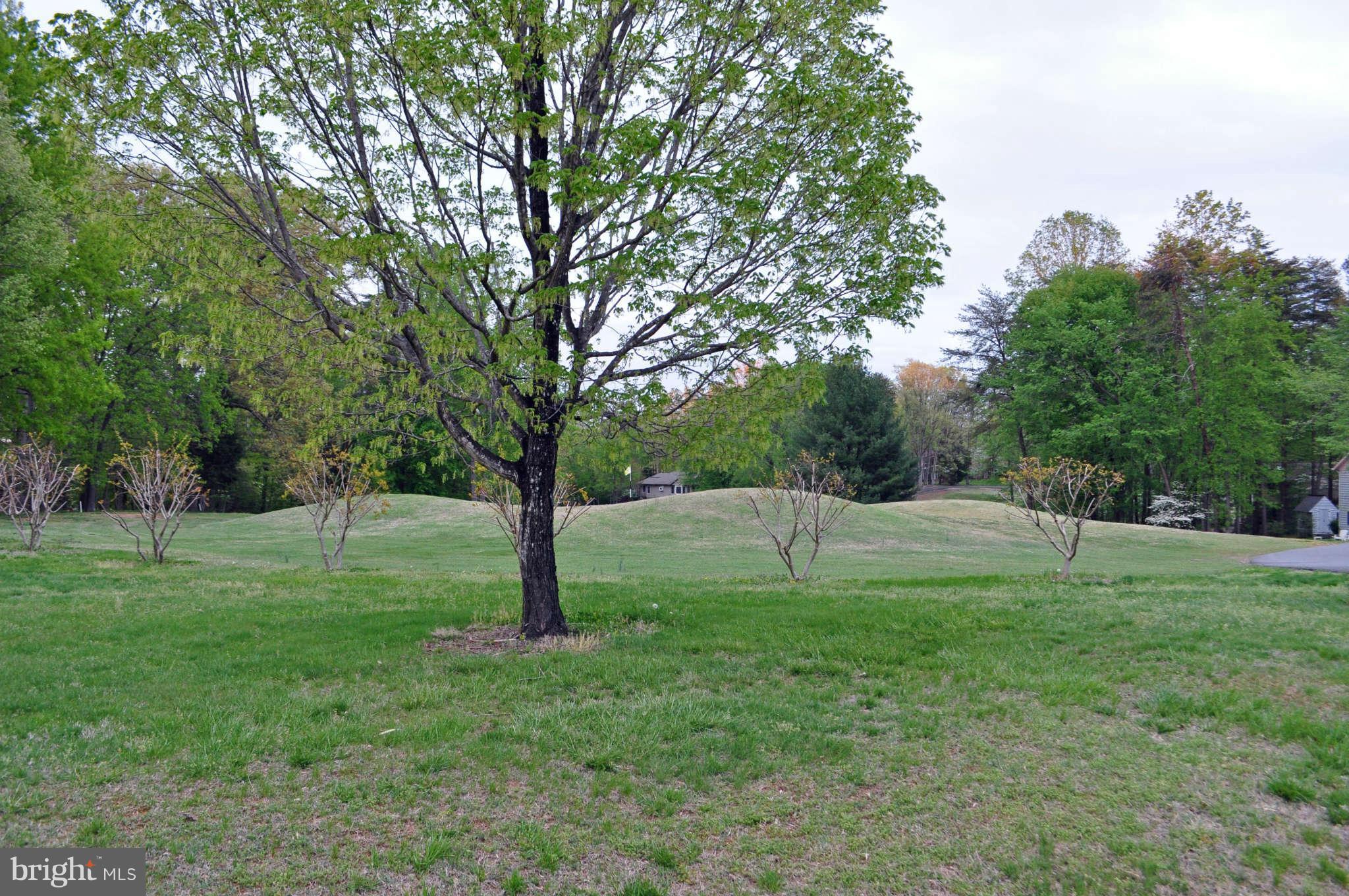 203 Pine Valley Road Locust Grove, VA 22508 - Photo 18 of 19 Golf Course is 1 Block Away