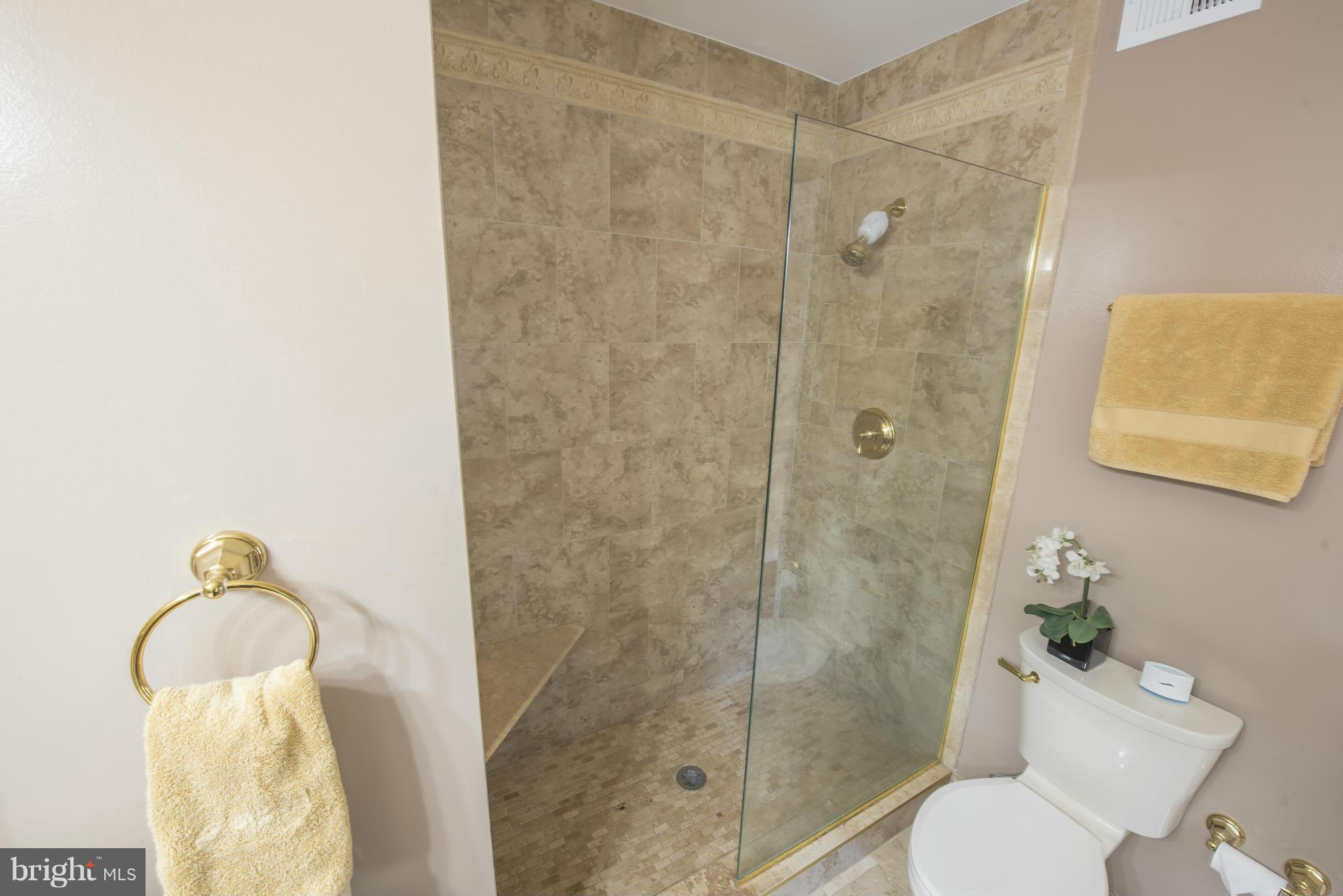 8305 Cagle Road Fort Washington, MD 20744 - Photo 17 of 30 Bath (Master)