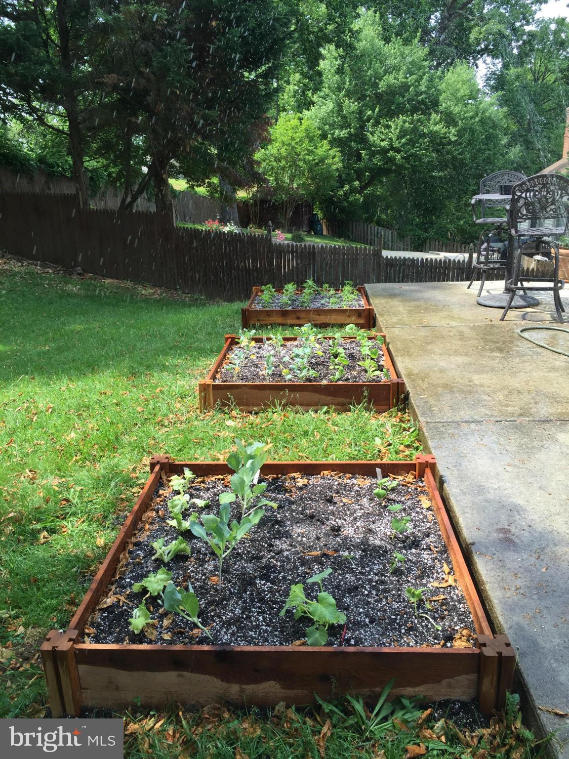 8305 Cagle Road Fort Washington, MD 20744 - Photo 28 of 30 Organic Garden Boxes Ready to Re-Plant!