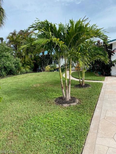 172 Riverwood Road Naples, FL 34114 - Photo 6 of 49 a view of a garden with a tree