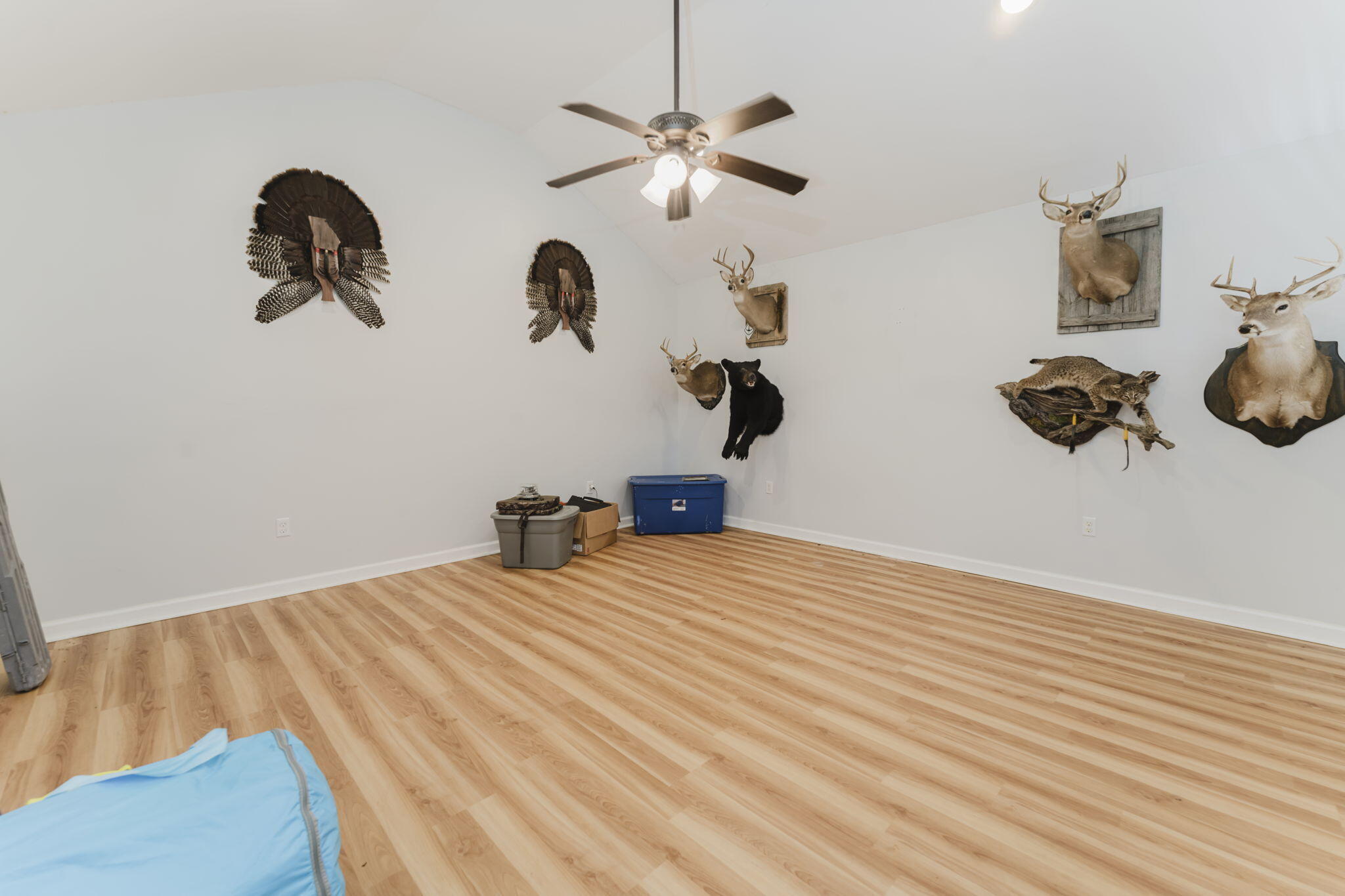 166 Valley Point Drive Southeast Dalton, GA 30721 - Photo 12 of 51 41-web-or-mls-DSC07482-HDR