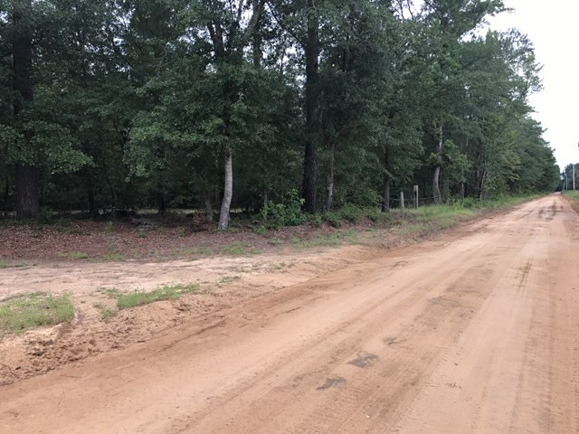 0 Surrey Race Road Salley, SC 29137 - Photo 6 of 14
