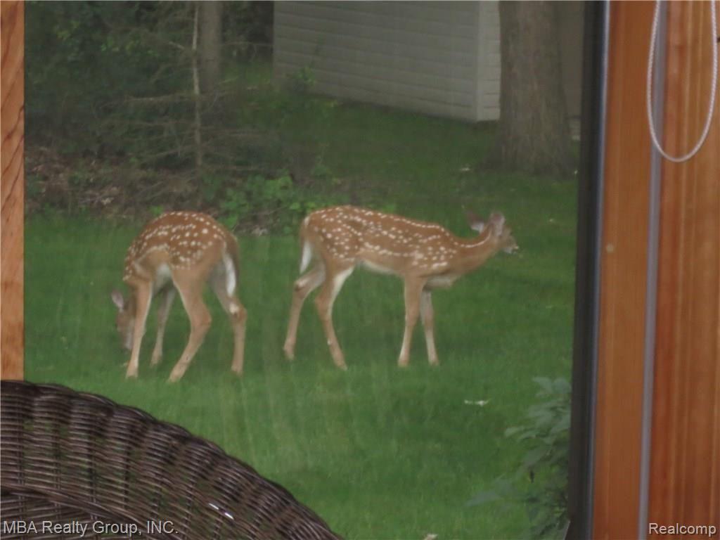 21715 Meridian Road Grosse Ile, MI 48138 - Photo 46 of 51 IMG_2493.JPG