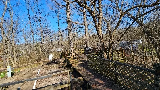 a view of a yard with snow on the road