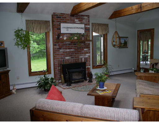 152 Flagg Hill Road Boxborough, MA 01719 - Photo 6 of 11 a living room with furniture fireplace and potted plant