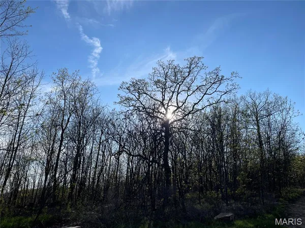 $315,000 | 1190 Private Road, Piedmont, MO 63957