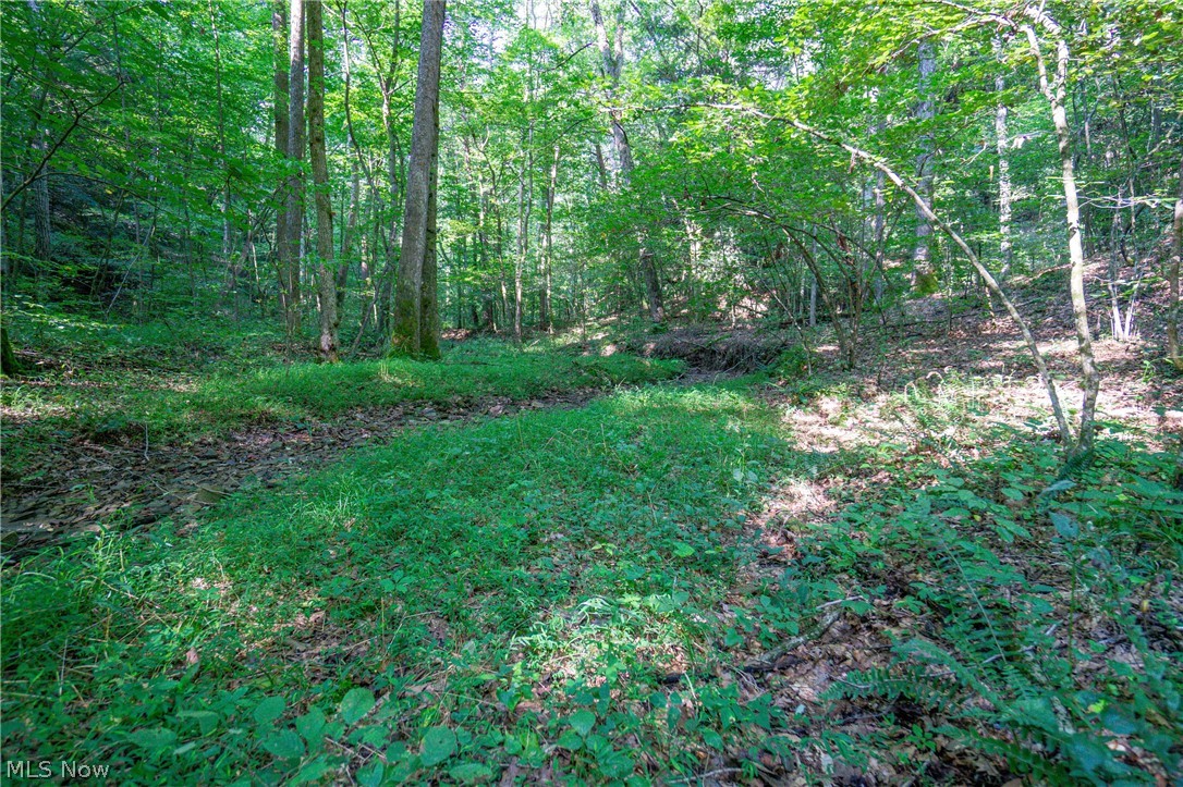 Fairview Road Creola, OH 45622 - Photo 14 of 23 Gallery Image 14