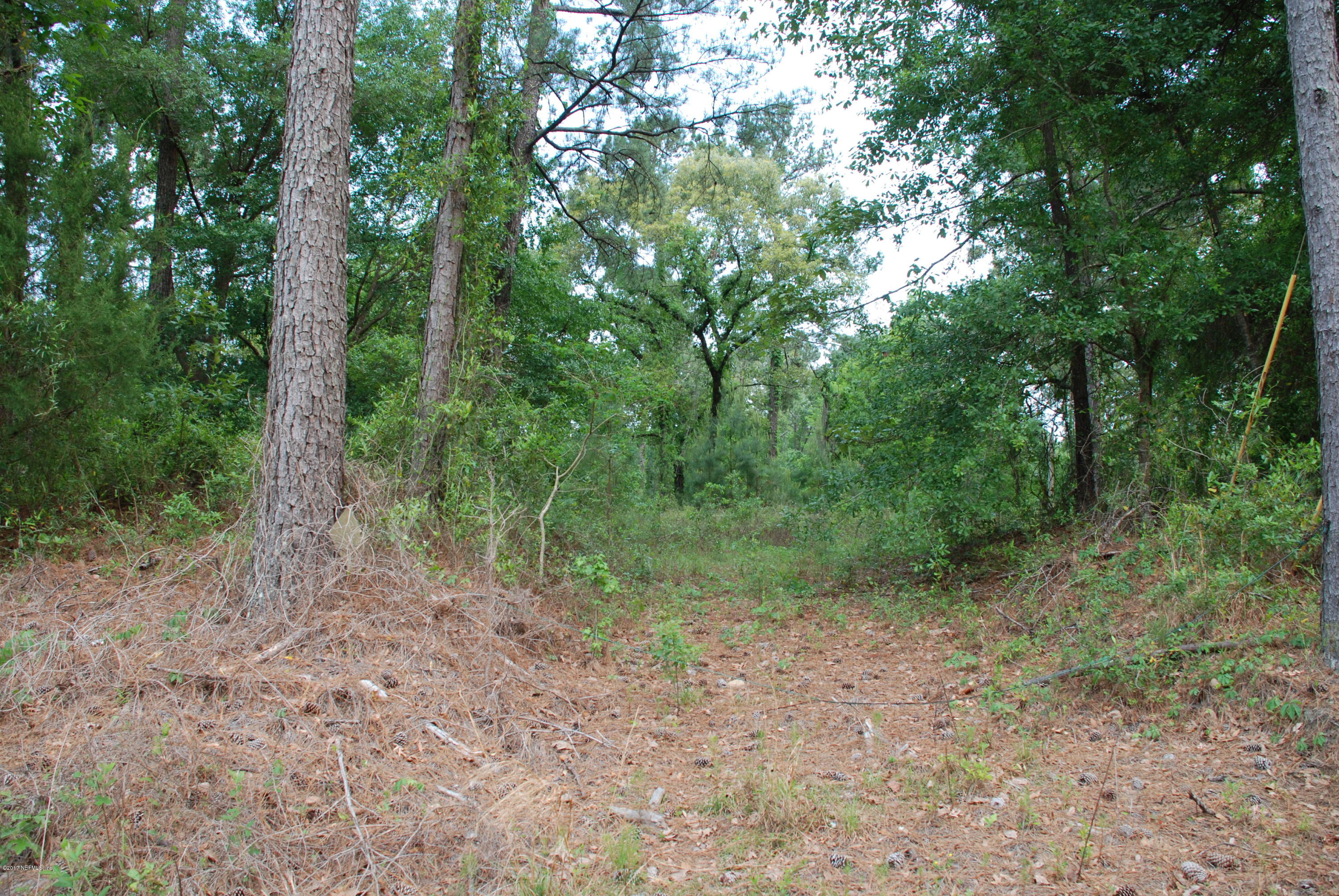 3-ac Lake Hampton Road Hilliard, FL 32046 - Photo 1 of 13 Entrance