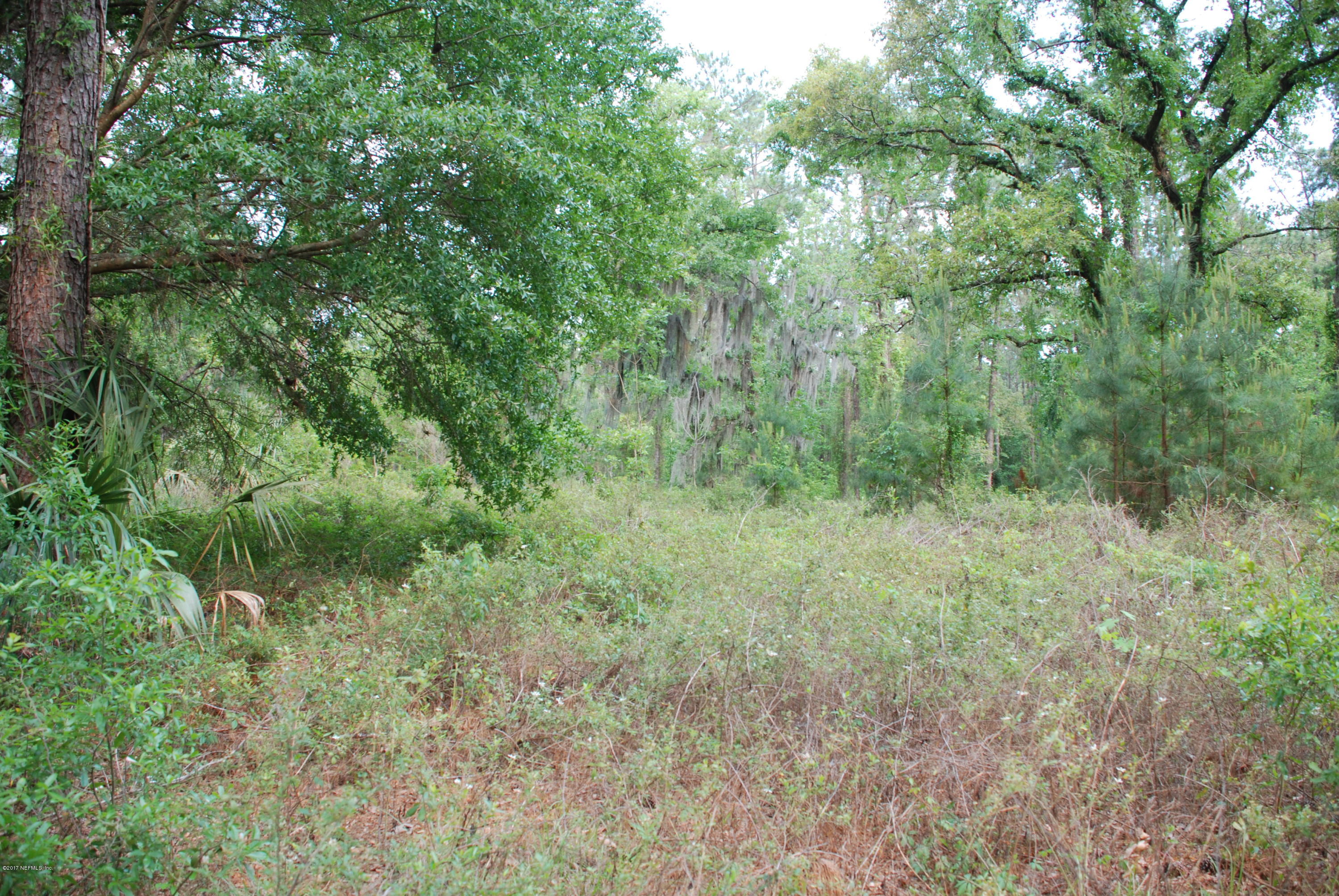 3-ac Lake Hampton Road Hilliard, FL 32046 - Photo 12 of 13 View of Land