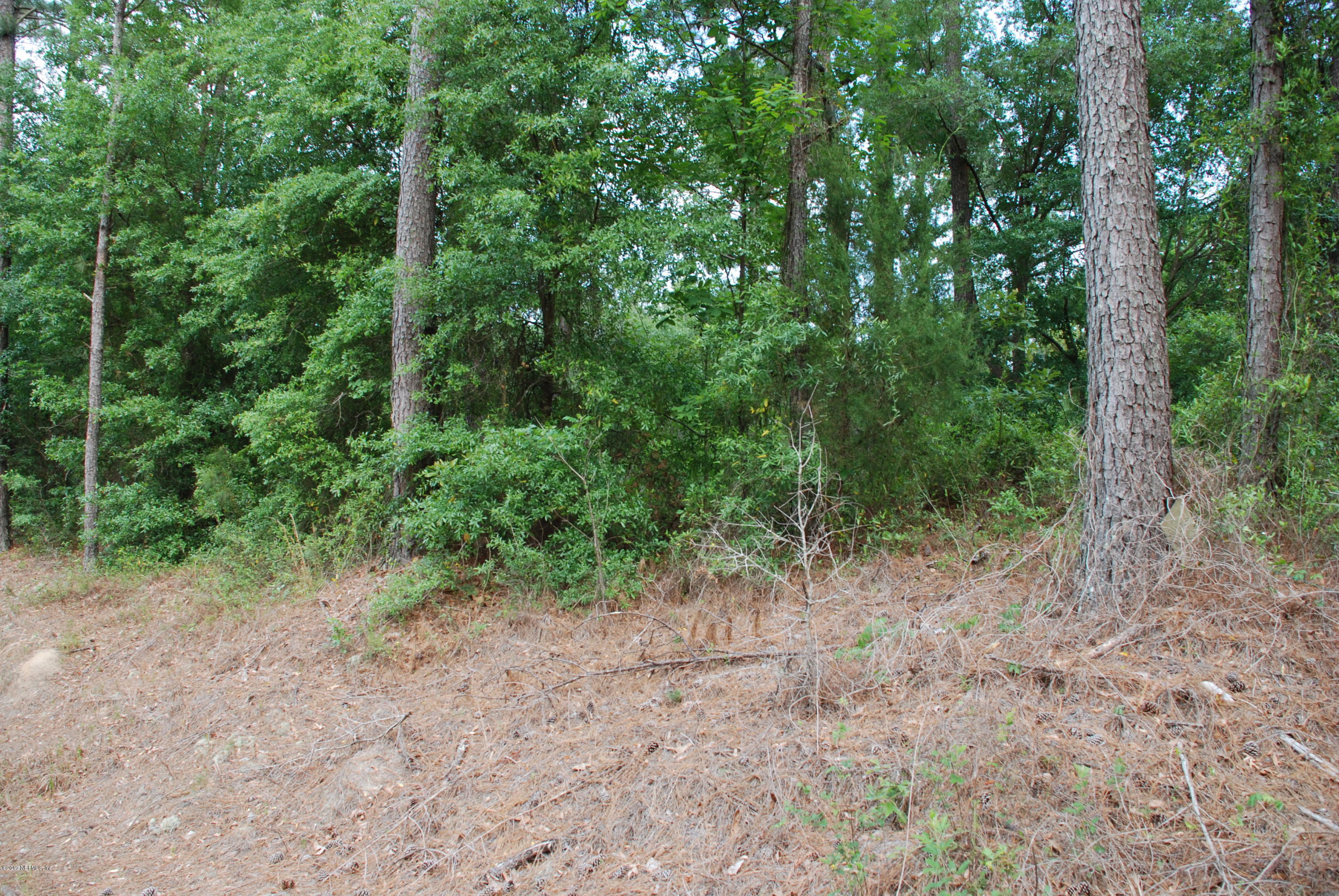 3-ac Lake Hampton Road Hilliard, FL 32046 - Photo 13 of 13 Road View