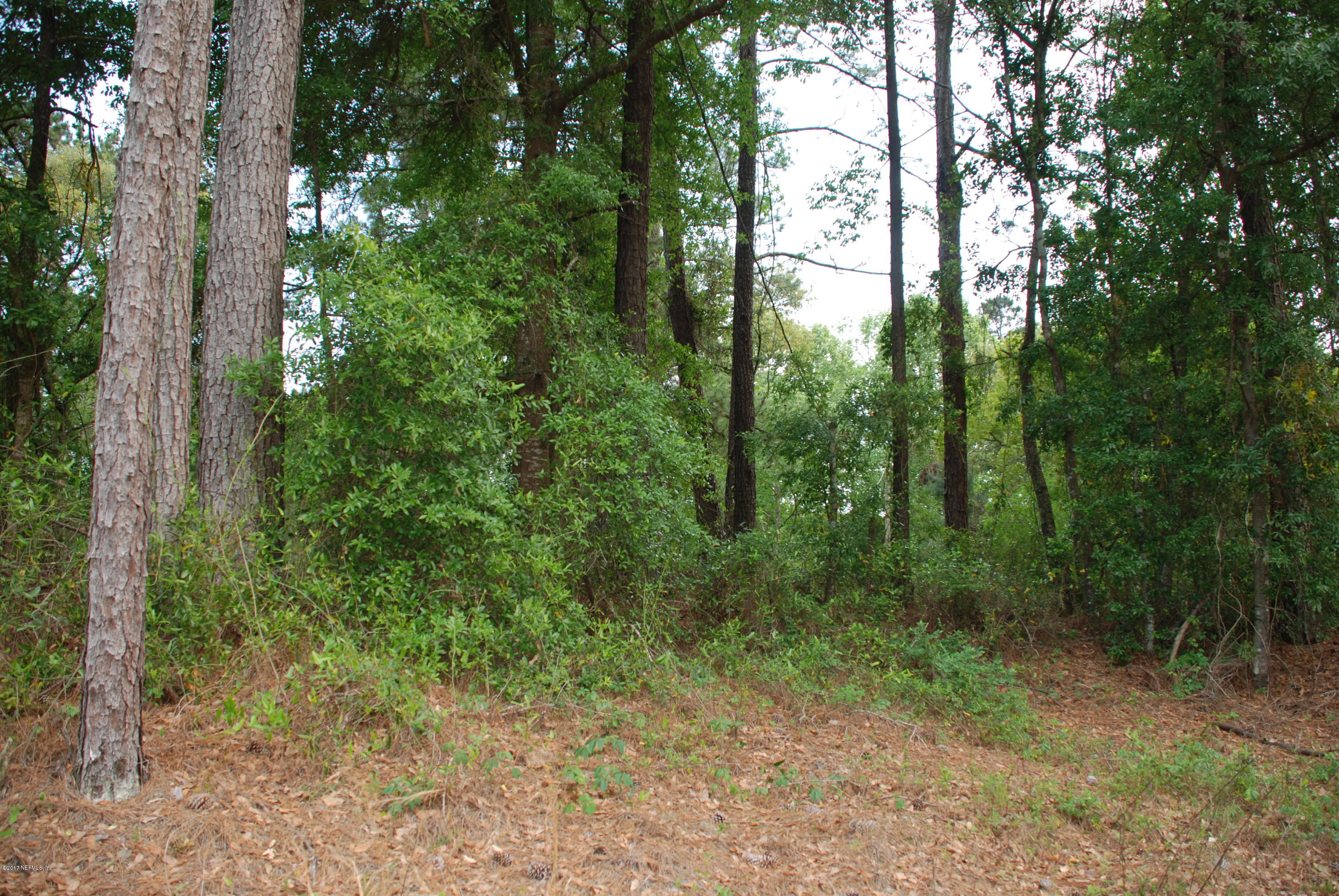 3-ac Lake Hampton Road Hilliard, FL 32046 - Photo 2 of 13 Road View 2