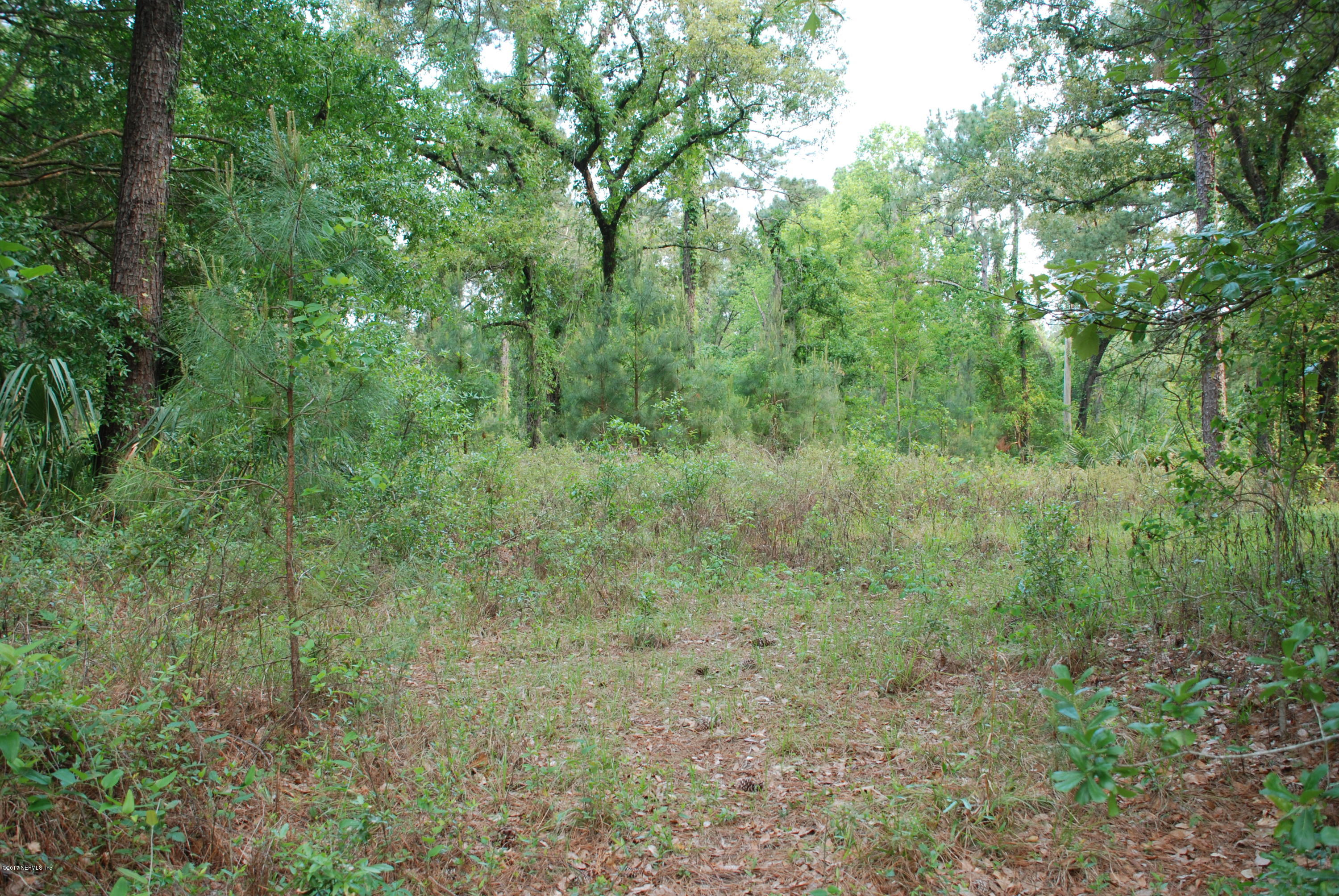 3-ac Lake Hampton Road Hilliard, FL 32046 - Photo 3 of 13 Clearing