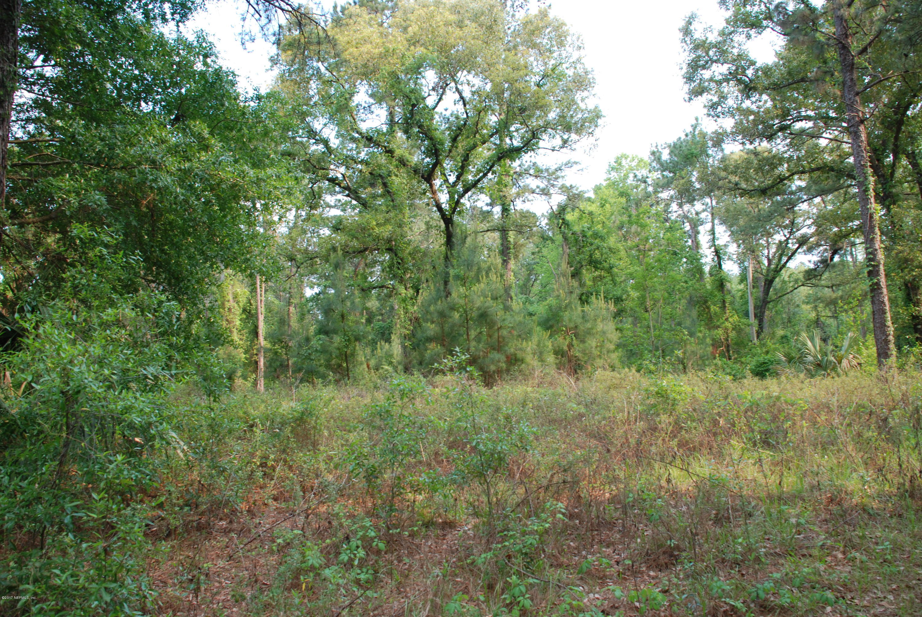 3-ac Lake Hampton Road Hilliard, FL 32046 - Photo 5 of 13 Oak & Pine Trees