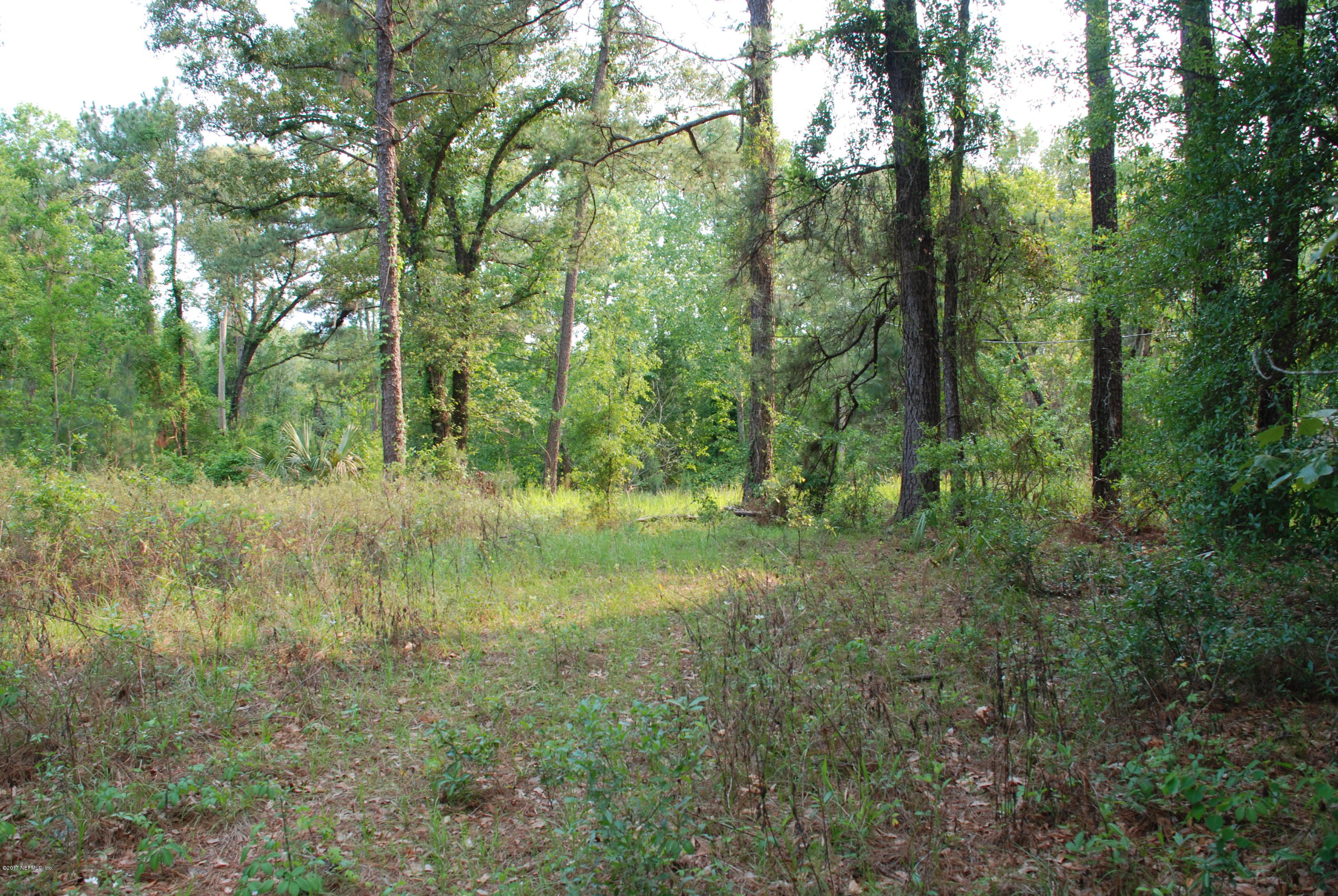 3-ac Lake Hampton Road Hilliard, FL 32046 - Photo 6 of 13 View of Land