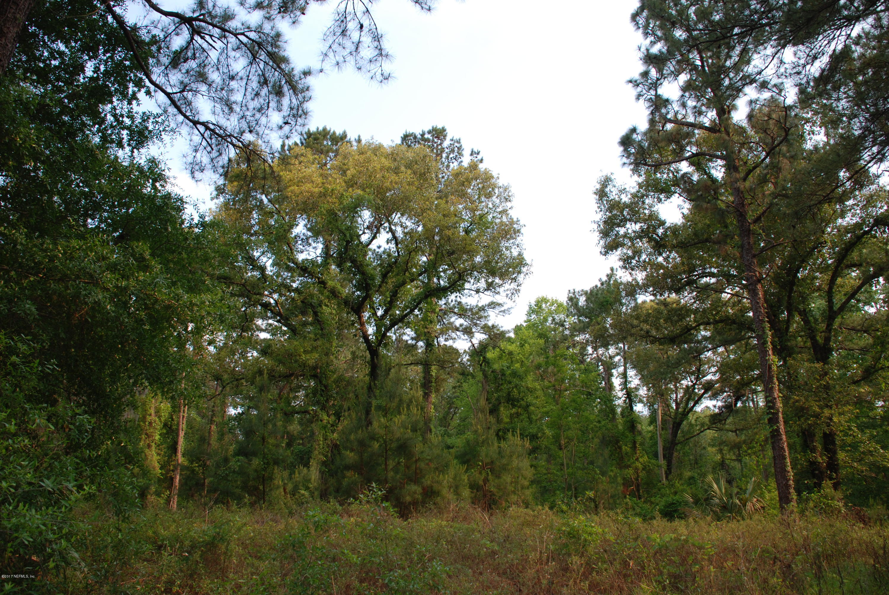 3-ac Lake Hampton Road Hilliard, FL 32046 - Photo 7 of 13 Trees