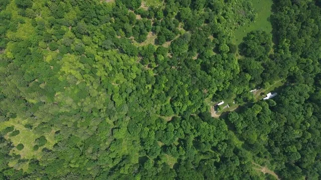 $383,200 | 0 Mason Hill Road, Driftwood, PA 15832