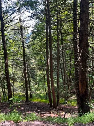 $383,200 | 0 Mason Hill Road, Driftwood, PA 15832