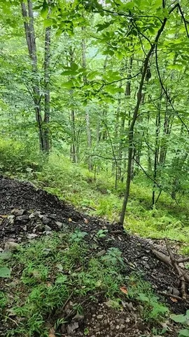 $383,200 | 0 Mason Hill Road, Driftwood, PA 15832