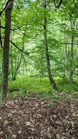 $383,200 | 0 Mason Hill Road, Driftwood, PA 15832