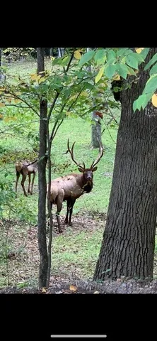 $383,200 | 0 Mason Hill Road, Driftwood, PA 15832