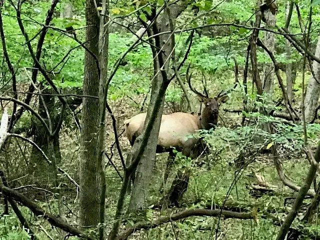 $383,200 | 0 Mason Hill Road, Driftwood, PA 15832