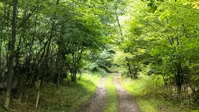 $383,200 | 0 Mason Hill Road, Driftwood, PA 15832