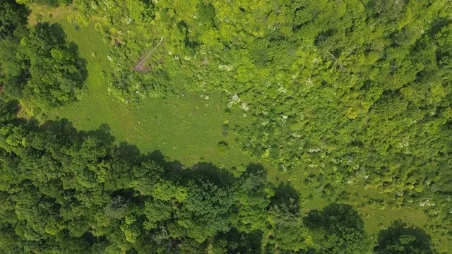 $383,200 | 0 Mason Hill Road, Driftwood, PA 15832