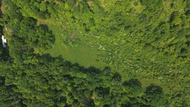 $383,200 | 0 Mason Hill Road, Driftwood, PA 15832