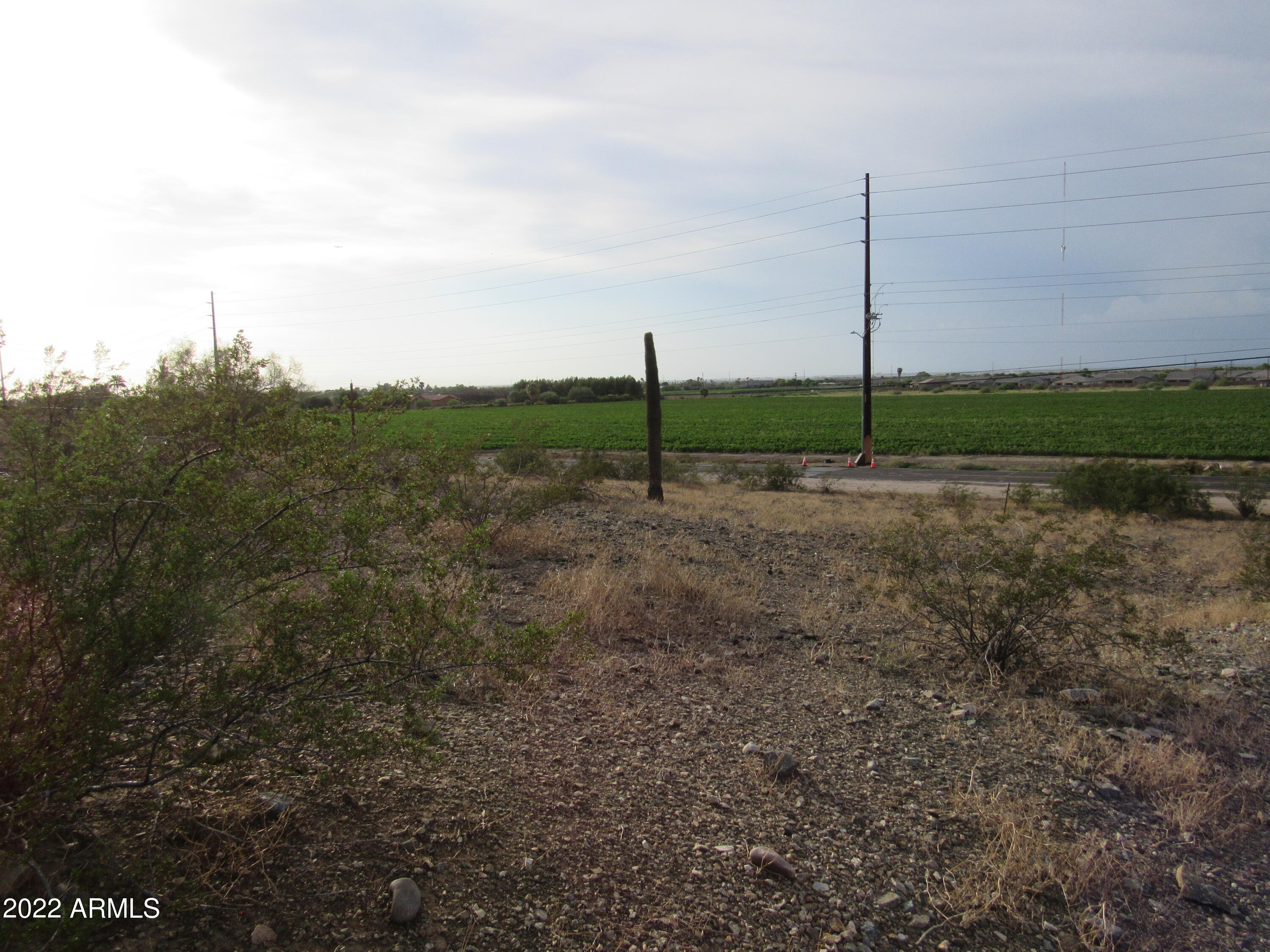 2211 West Dobbins Road, Unit A Phoenix, AZ 85041 - Photo 10 of 33 a view of a park with a tree