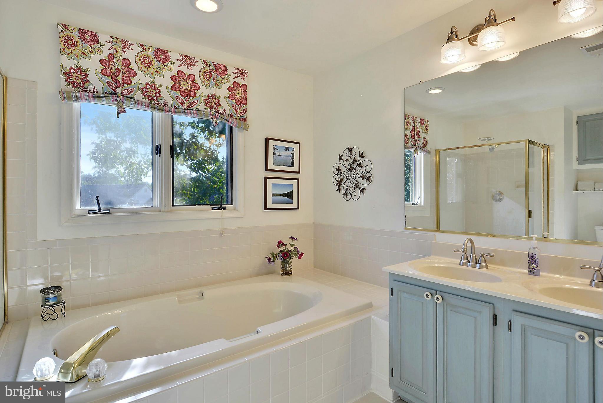 1331 Pleasant Meadow Road Crofton, MD 21114 - Photo 10 of 30 great soaking tub!