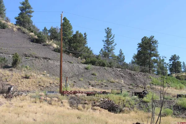a view of a dry yard with trees