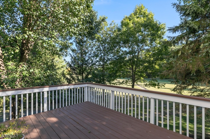 22 Honeyman Road Bernards, NJ 07920 - Photo 44 of 49