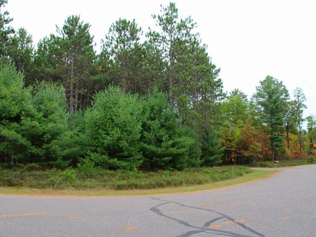 Lot 28 Bosshard Cir Road Woodruff, WI 54568 - Photo 20 of 20 Gallery Image 20